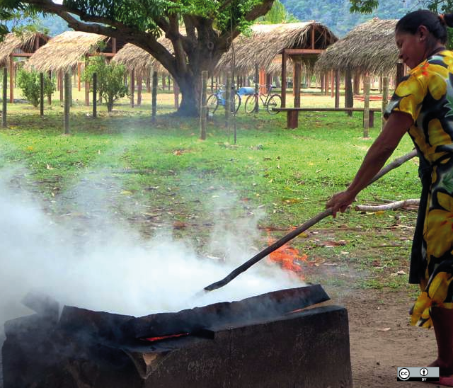 cashewzaad roosteren in Centraal Guyana