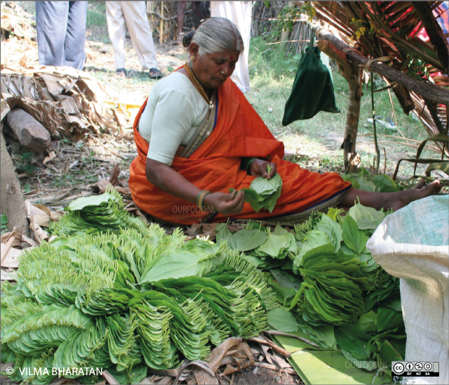 betelblad op markt in Bangladesh