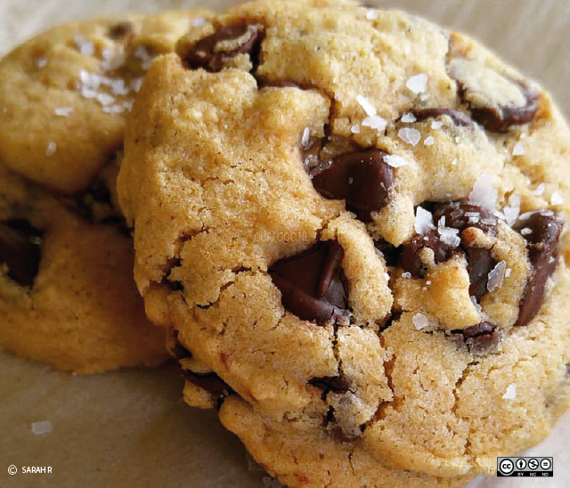 chocolate-chip cookie