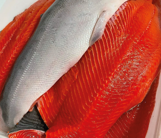 rode zalm